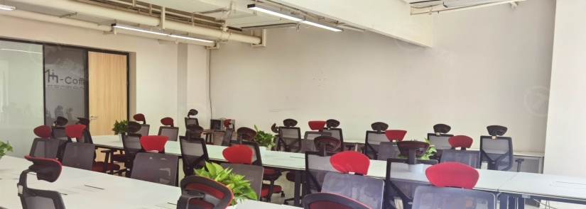 28人内侧独立间