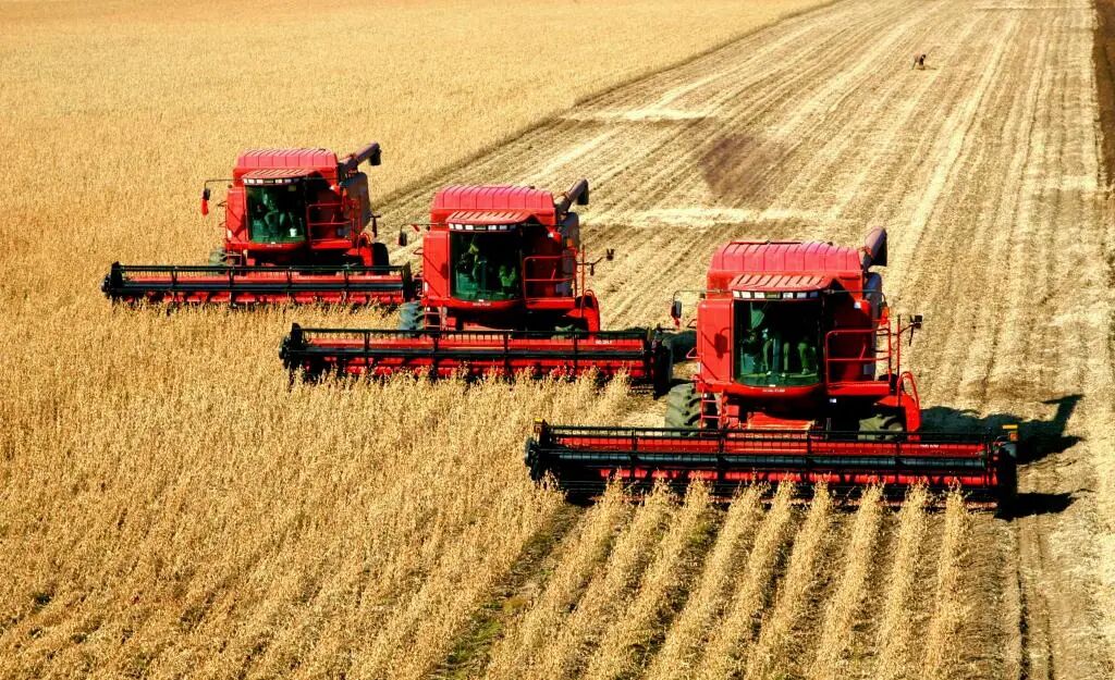 习近平总书记关切事丨黑土地上的大豆新事-新华网