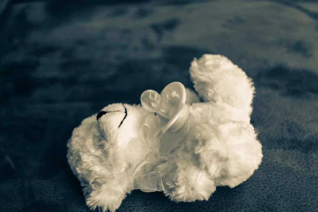 Free Teddy Bear Pacifier photo and picture