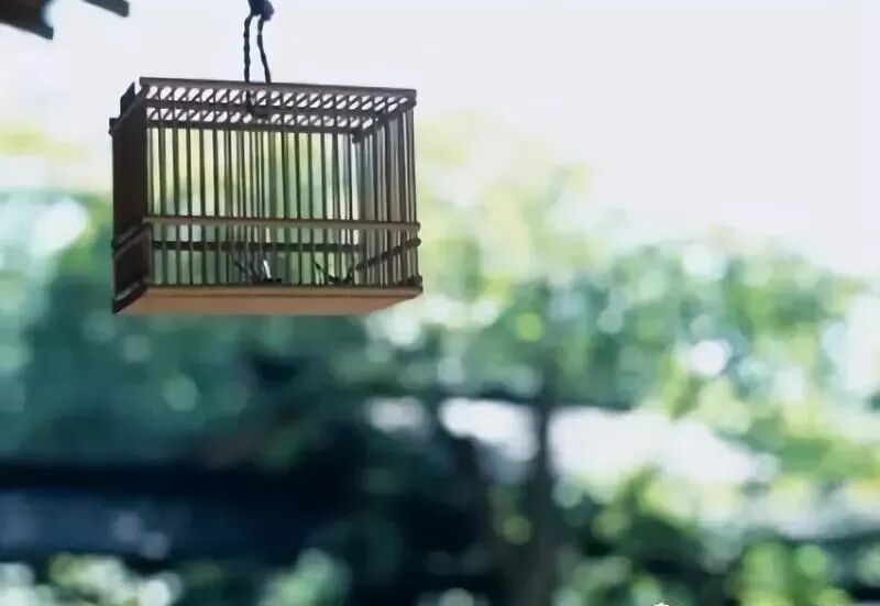 著名的七大心理学效应,让你受益匪浅