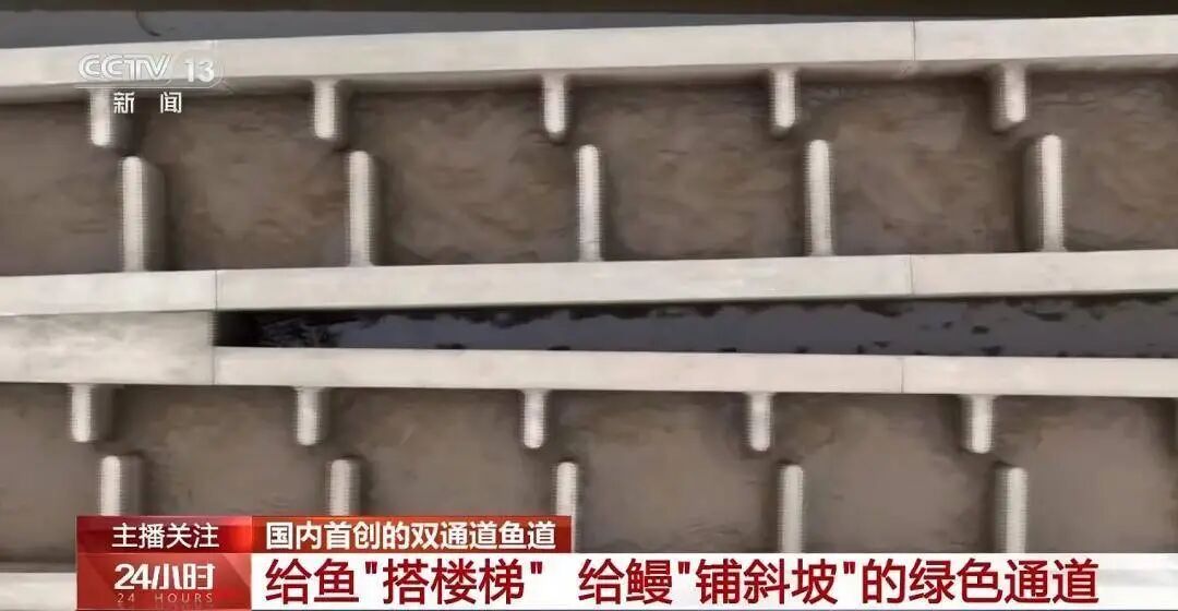 视频丨为什么叫“青年”？平陆运河关键枢纽背后有段60多年奋斗故事_搜狐网